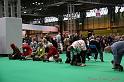 Crufts2011_2 1629